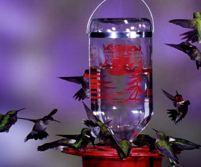 Hummingbird Feeder Best-1  32oz